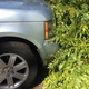 Illustration for article titled Stop Beeping, Parking Sensors: Those Are Shrubs